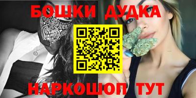 индика Новодвинск