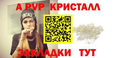 индика Новодвинск